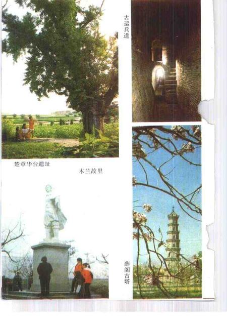 1992版亳州文史资料  第5辑  中国历史文化名城-亳州.pdf电子版_安徽省志插图5