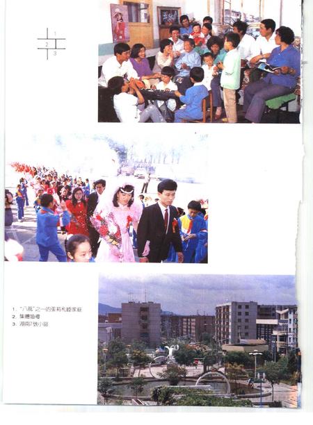 1993-鞍山市志  社会卷.pdf电子版_辽宁省志插图5