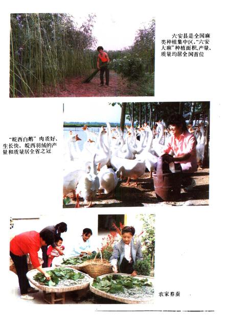 1993版六安县志.pdf电子版_安徽省志插图5