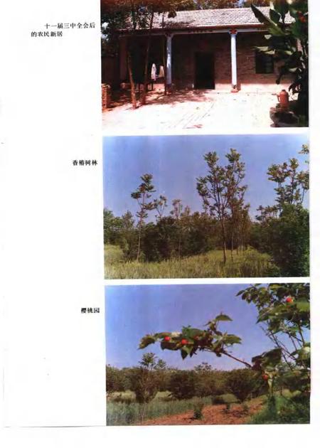 1993版太和县志.pdf电子版_安徽省志插图5