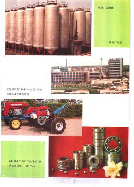 1993版阜阳市志.pdf电子版_安徽省志插图5