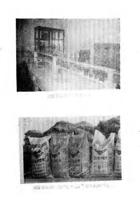 1994版南陵县文史资料  第14辑.pdf电子版_安徽省志插图5