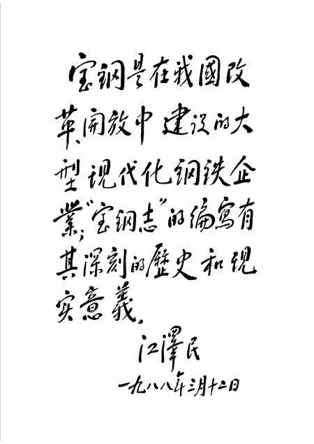 1995-宝钢志.pdf电子版_上海市志插图5