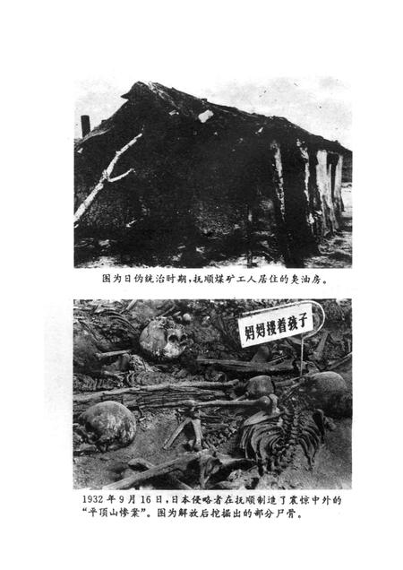 1995-日本帝国主义统治抚顺罪行录  1905-1945.pdf电子版_辽宁省志插图5