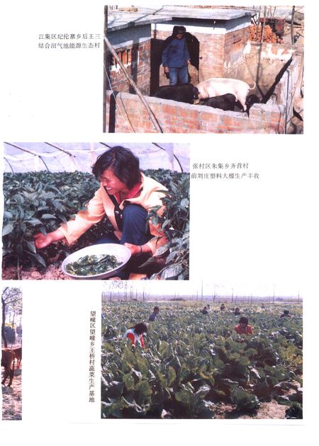 1995版利辛县志.pdf电子版_安徽省志插图5