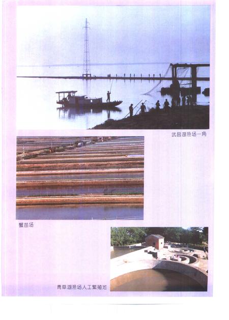 1995版望江县志.pdf电子版_安徽省志插图5