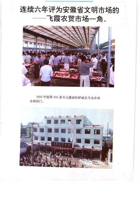 1995版舒城县工商行政管理志.pdf电子版_安徽省志插图5