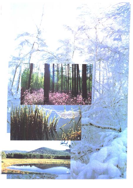 1996-牙克石市志.pdf电子版_内蒙古志插图5