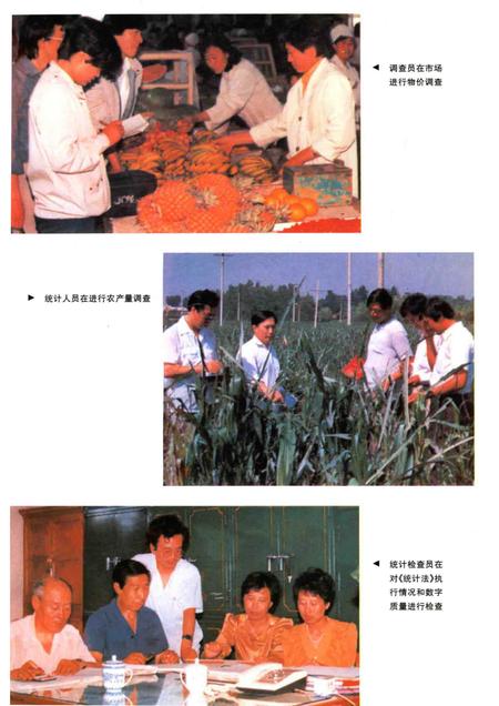 1997-鞍山市志·综合管理卷.pdf电子版_辽宁省志插图5