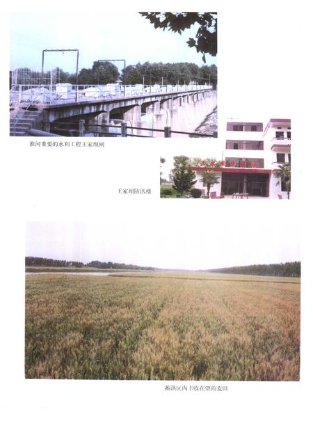 1997版阜南县志.pdf电子版_安徽省志插图5