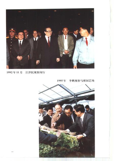 1998-上海改革开放二十年  闵行卷.pdf电子版_上海市志插图5