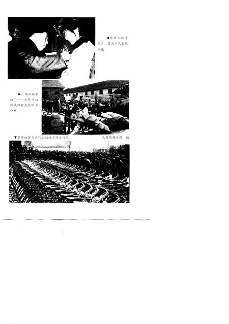 1998版起源  凤阳大包干实录.pdf电子版_安徽省志插图5