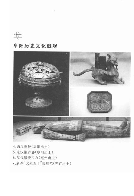 1998版阜阳历史文化概观.pdf电子版_安徽省志插图5