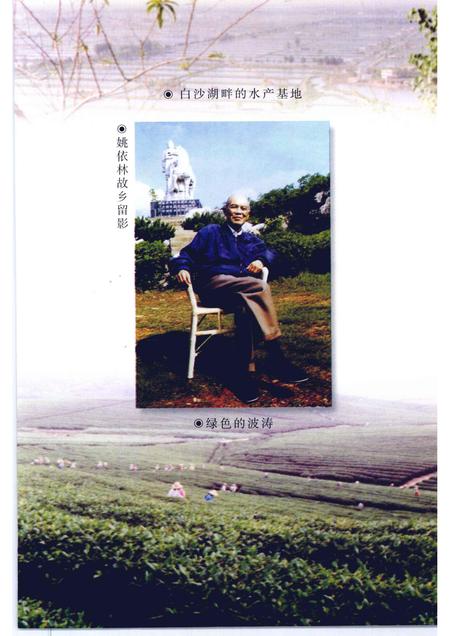 1999版锦绣安徽  池州卷  千载诗人地.pdf电子版_安徽省志插图5