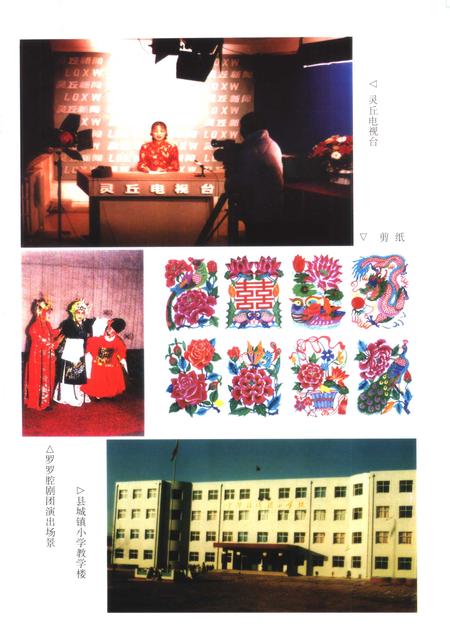 2000-灵丘县志.pdf电子版_山西省志插图5