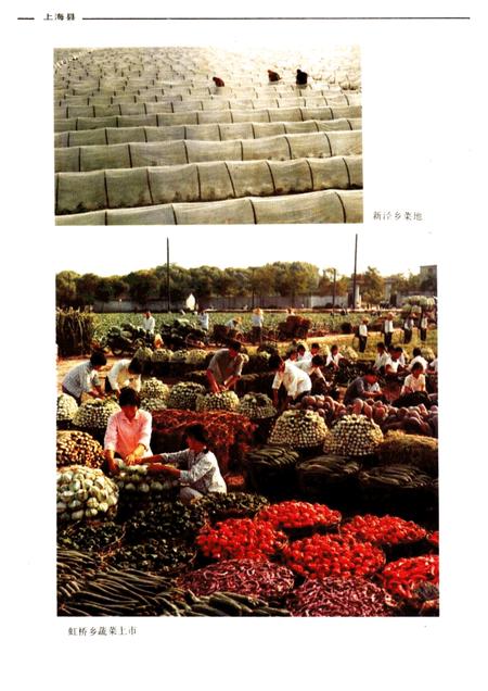 -上海县要览.pdf电子版_上海市志插图5