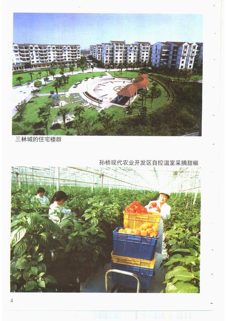 2001-浦东新区乡土地理.pdf电子版_上海市志插图5