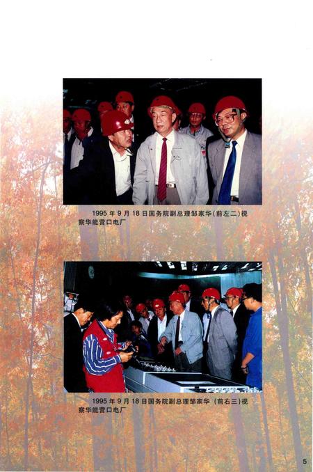 2001-营口市志  第3卷  工业  综合管理  外经外贸.pdf电子版_辽宁省志插图5