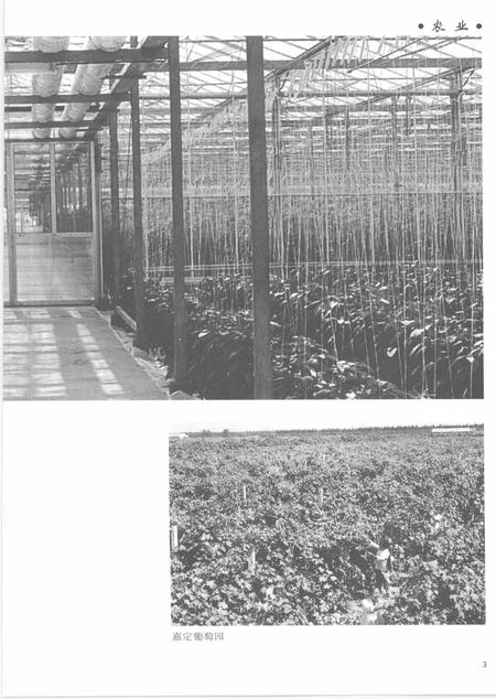 2005-上海通志  第5册.pdf电子版_上海市志插图5