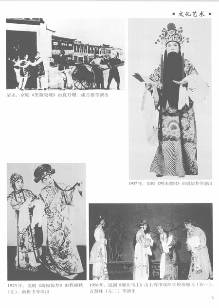 2005-上海通志  第8册.pdf电子版_上海市志插图5