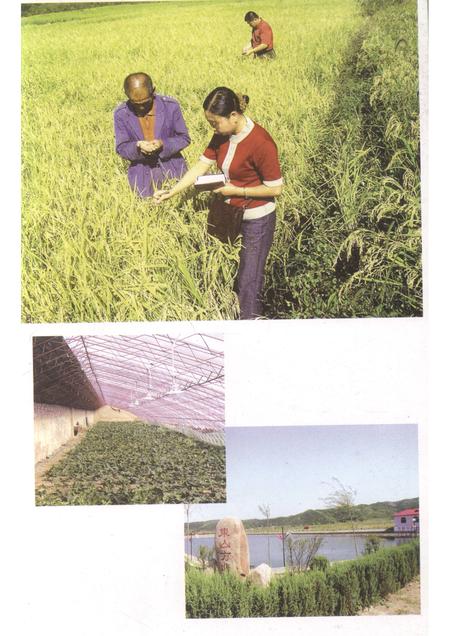 2005-抚顺县文史资料  第3辑.pdf电子版_辽宁省志插图5