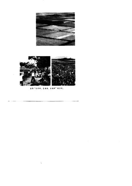 1976版农业学大寨先进典型  涡阳大地披绿装.pdf电子版_安徽省志插图5