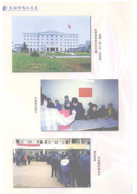 2008版芜湖市鸠江区志    -2003.pdf电子版_安徽省志插图5