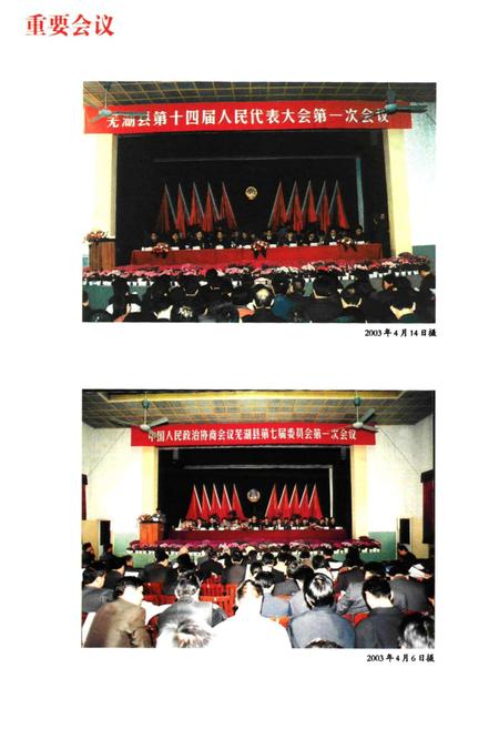 2009版芜湖县志  1990-2003.pdf电子版_安徽省志插图5