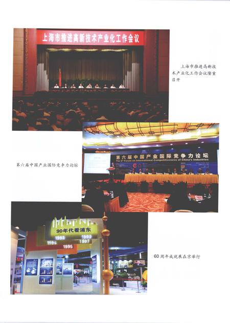 2010-上海工业年鉴  2010.pdf电子版_上海市志插图5