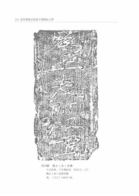 2015版亳州曹操宗族墓字砖图录文释  下.pdf电子版_安徽省志插图5