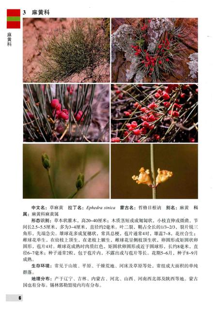 2016-内蒙古自治区锡林郭勒盟木本植物图鉴.pdf电子版_内蒙古志插图5