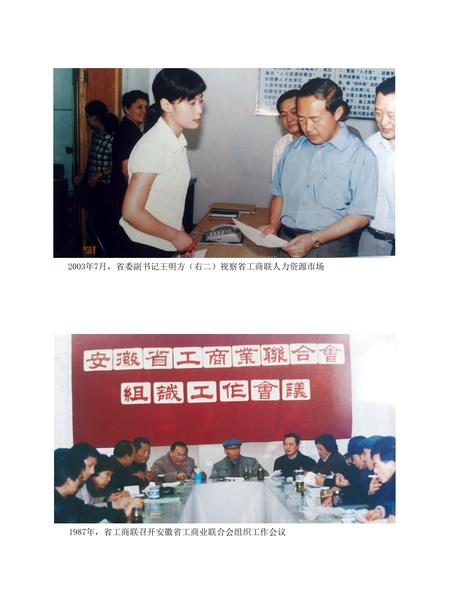 安徽省志工商业联合会志.pdf电子版_安徽省志插图5