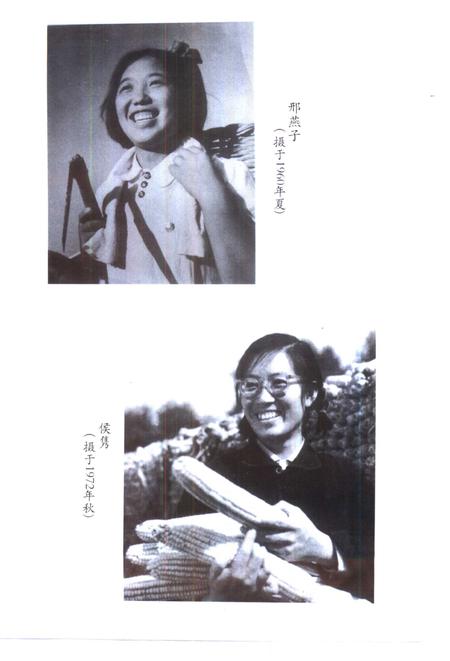 宝坻文史集萃.pdf电子版_天津市志插图5