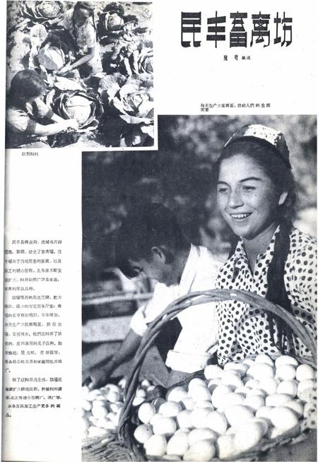新疆画报1962年第04期.pdf电子版_新疆维吾尔族自治区志插图5