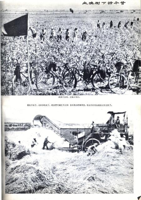 新疆画报1963年第05期.pdf电子版_新疆维吾尔族自治区志插图5