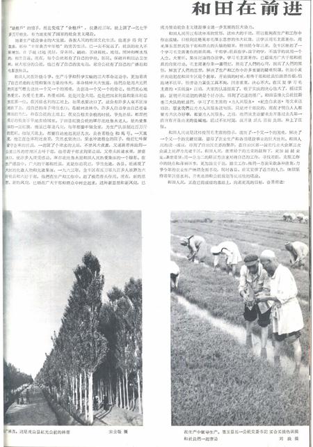 新疆画报1964年第04期.pdf电子版_新疆维吾尔族自治区志插图5