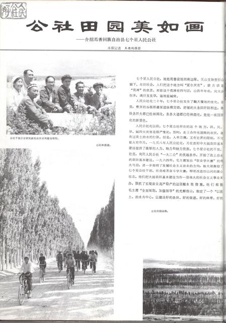 新疆画报1979年第01期.pdf电子版_新疆维吾尔族自治区志插图5