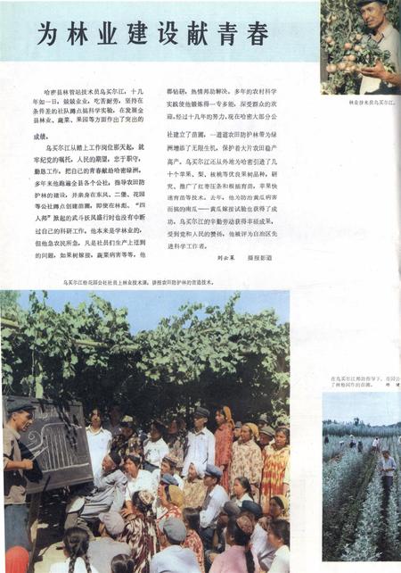 新疆画报1979年第03期.pdf电子版_新疆维吾尔族自治区志插图5