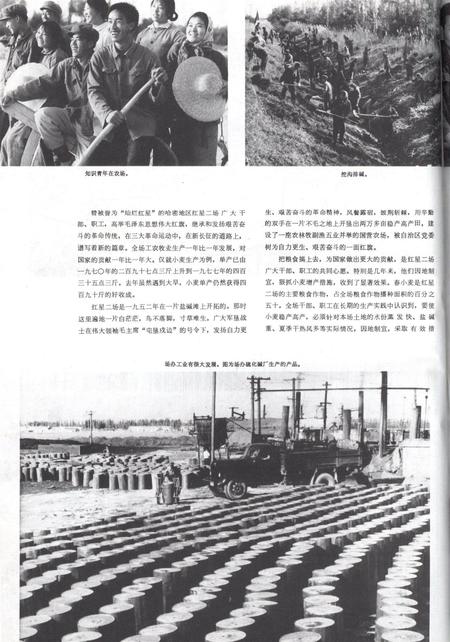 新疆画报1979年第04期.pdf电子版_新疆维吾尔族自治区志插图5