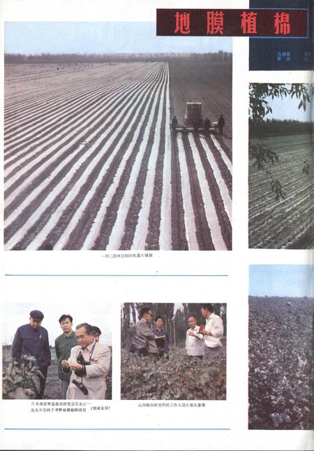 新疆画报1982年第05期.pdf电子版_新疆维吾尔族自治区志插图5