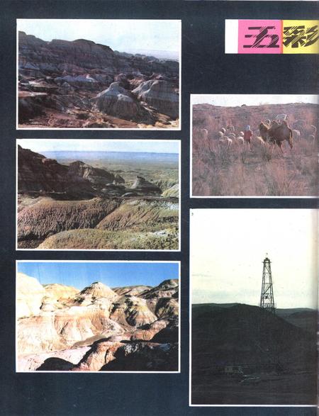 新疆画报1987年第04期.pdf电子版_新疆维吾尔族自治区志插图5