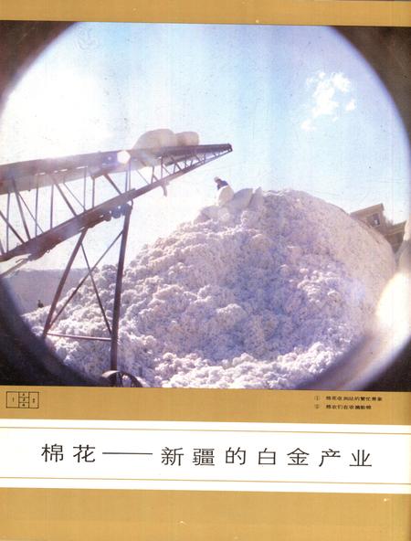 新疆画报1989年第02期.pdf电子版_新疆维吾尔族自治区志插图5