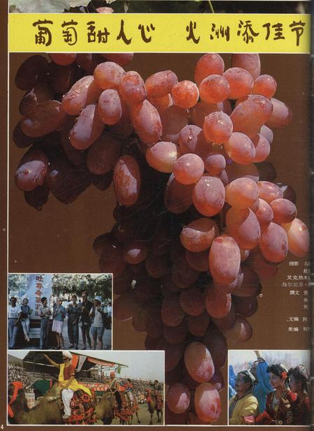 新疆画报1990年第06期.pdf电子版_新疆维吾尔族自治区志插图5