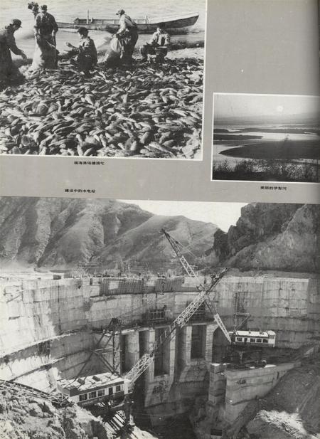 新疆画报1991年第06期.pdf电子版_新疆维吾尔族自治区志插图5