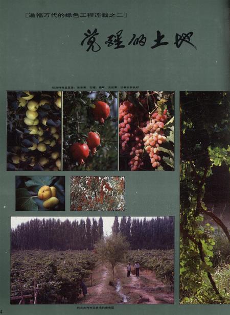 新疆画报1992年第04期.pdf电子版_新疆维吾尔族自治区志插图5