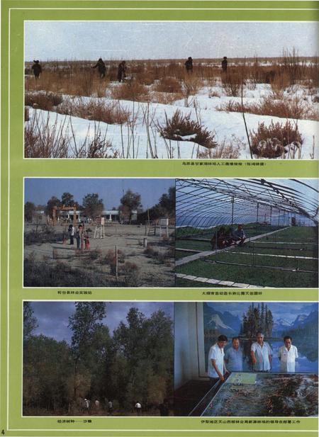 新疆画报1992年第05期.pdf电子版_新疆维吾尔族自治区志插图5