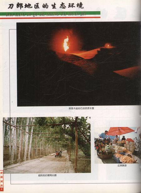 新疆画报2001年第03期.pdf电子版_新疆维吾尔族自治区志插图5