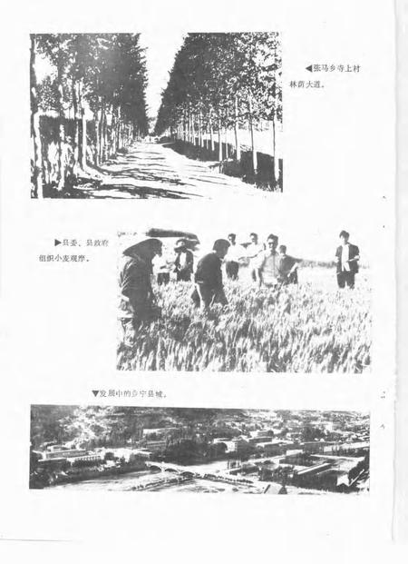 -乡宁年鉴  1985.pdf电子版_山西省志插图5