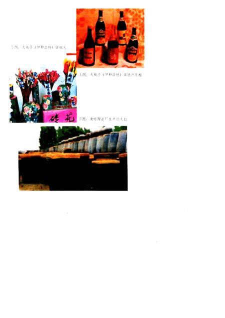 1985-喀喇沁左翼蒙古族自治县概况.pdf电子版_辽宁省志插图5