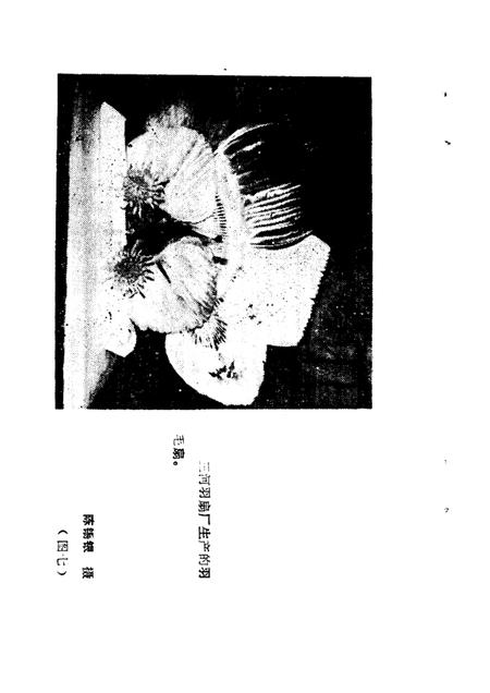 1985版肥西文史资料  第1辑  古镇三河.pdf电子版_安徽省志插图5